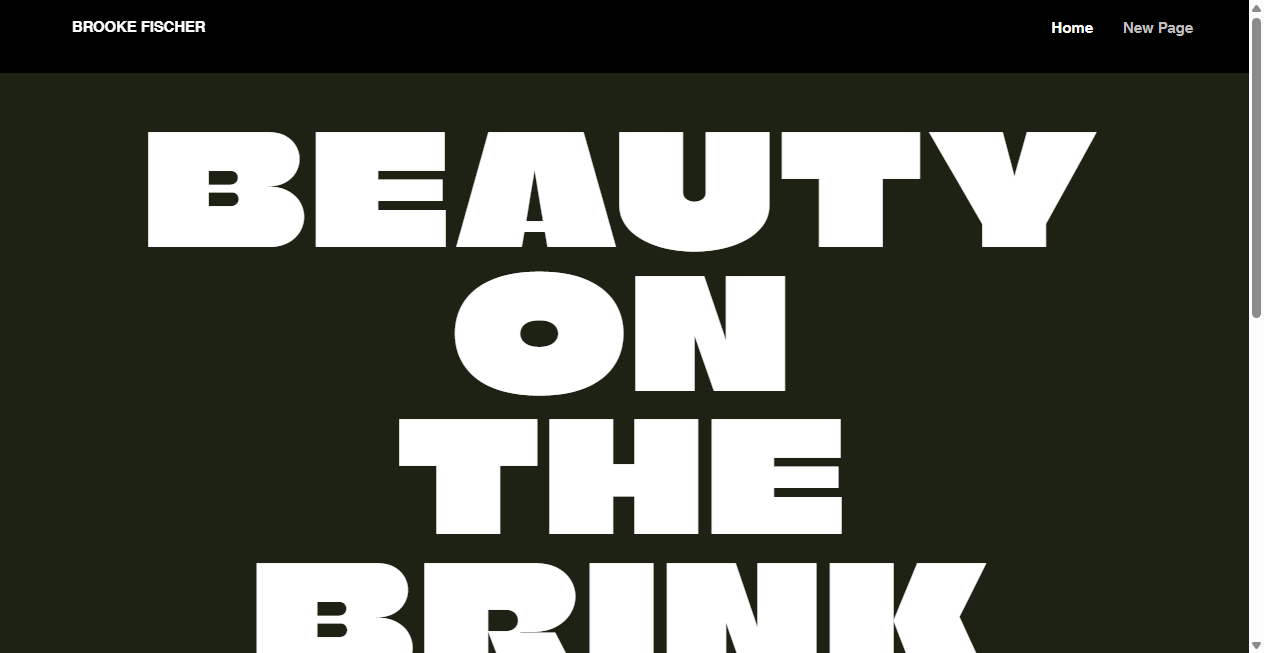 Bestätigte Warnung zu beautyonthebrink.net (2026)