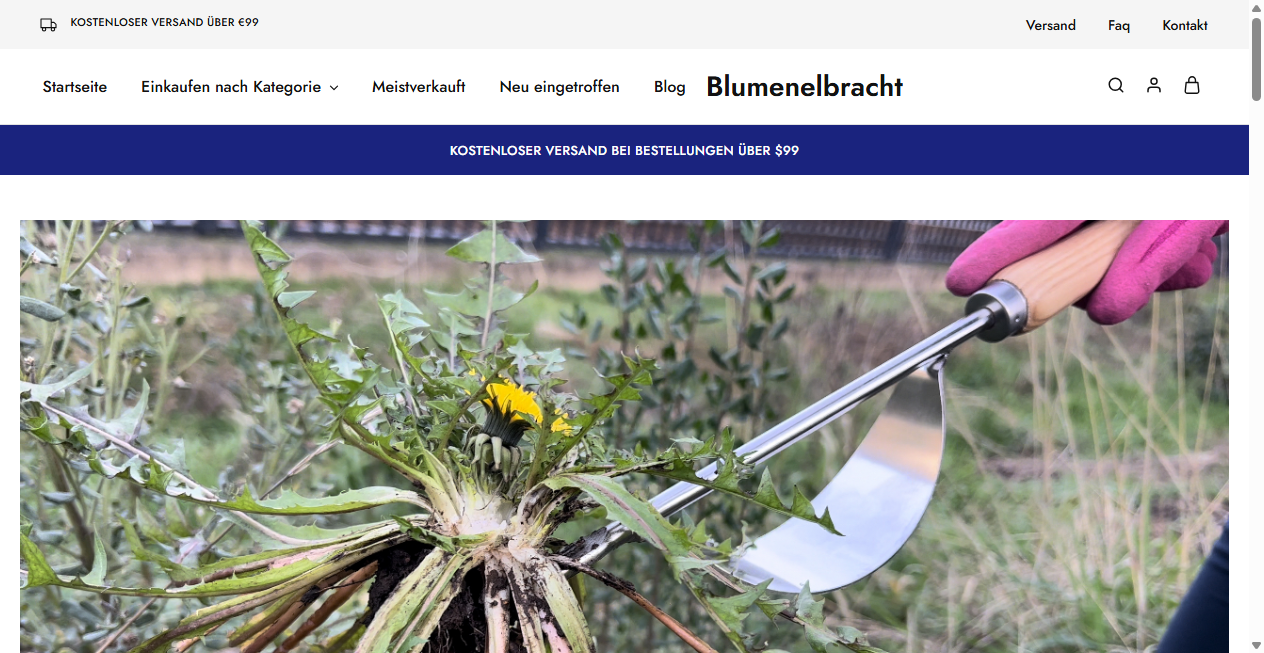 Screenshot von blumenelbracht.de