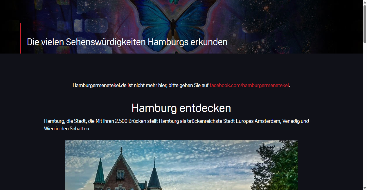Screenshot von hamburgermenetekel.de