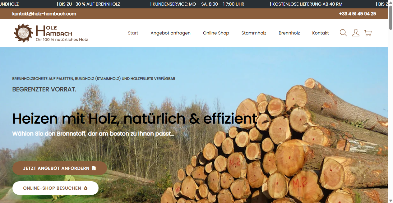 Screenshot von holz-hambach.com