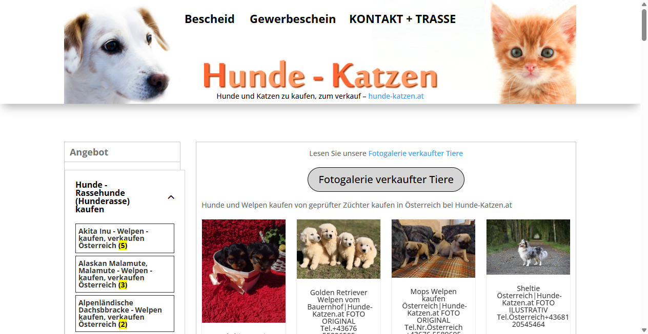 Fake Shop Warnung: hunde-katzen.at (2026)