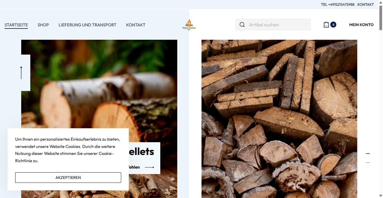 Screenshot von marie-herbstkg.de