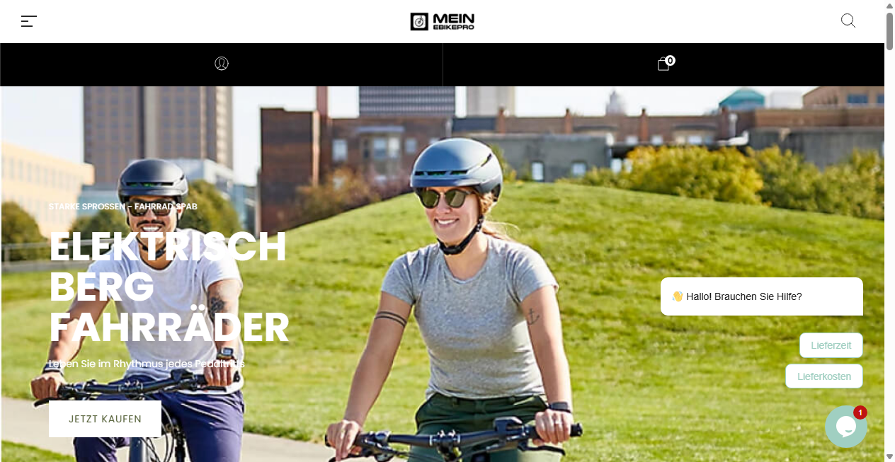 Screenshot von mein-ebikepro.com