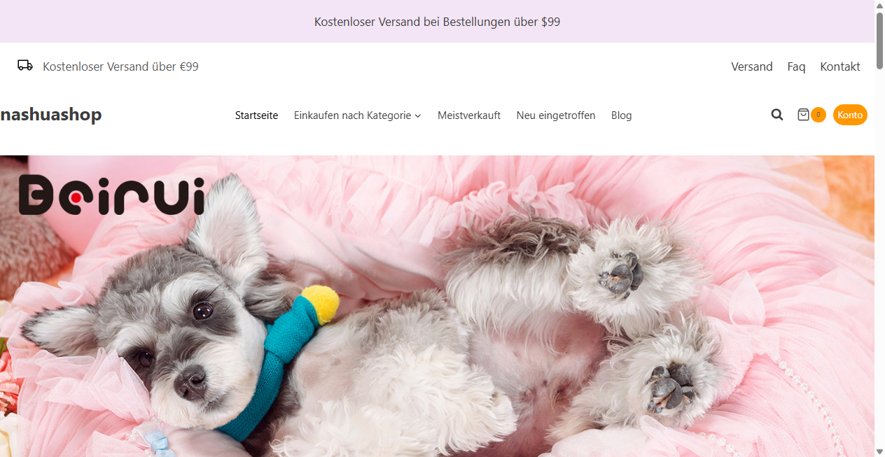 Screenshot von nashuashop.de