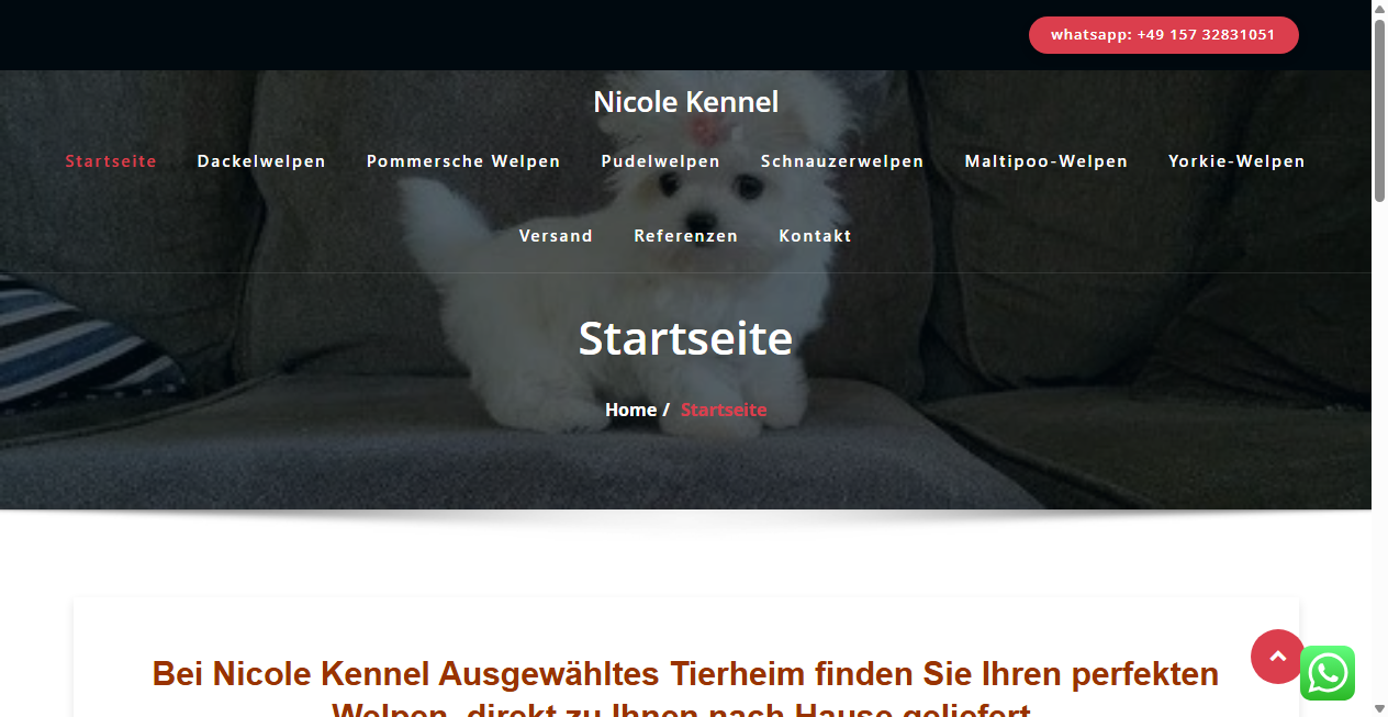 Screenshot von nicolekennel.de