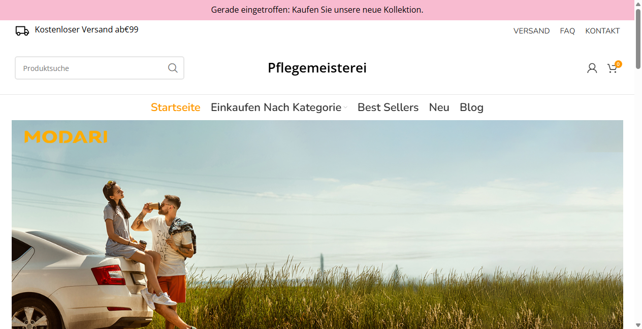 Screenshot von pflegemeisterei.de