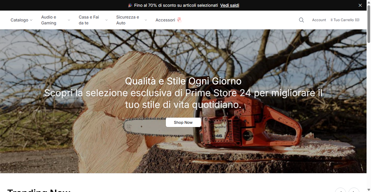 Screenshot von shopoutletstore.shop