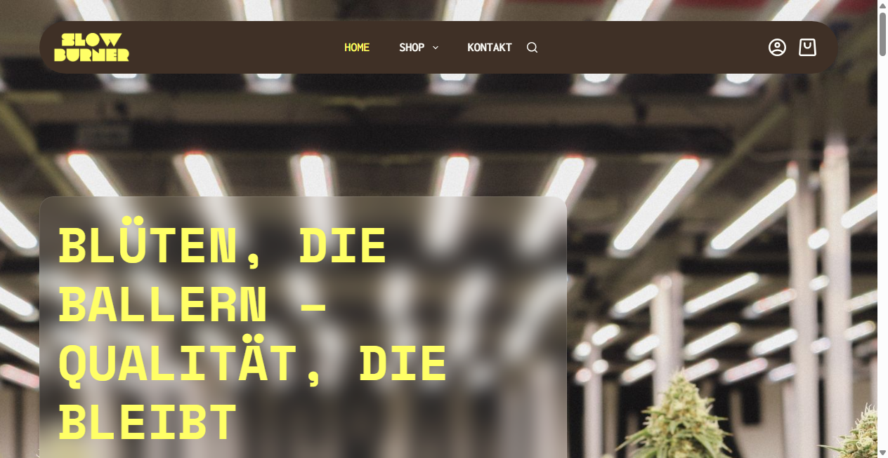 Fake Shop Warnung: slowburner.de (2026)