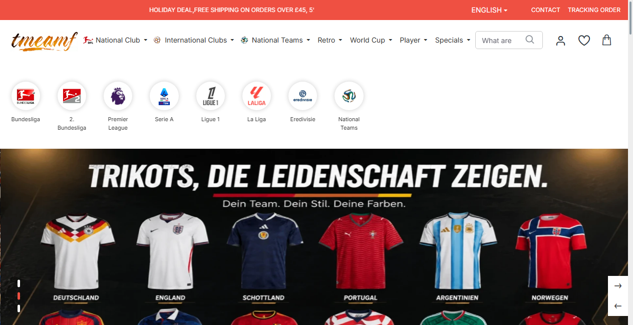 Screenshot von tmeamf.com